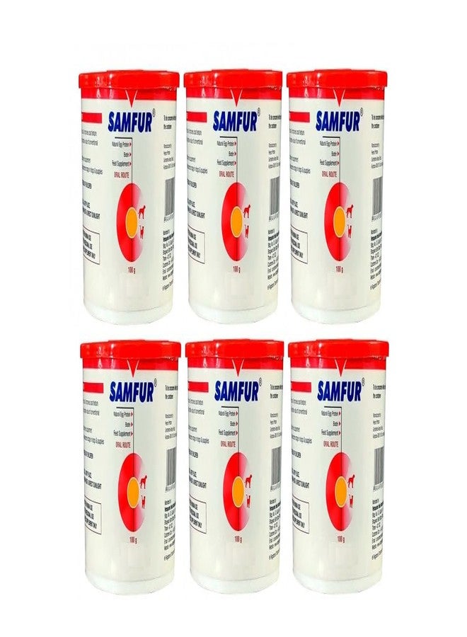 BULLYPET Samfur 100g (Protein Powder) (Pack of 6)